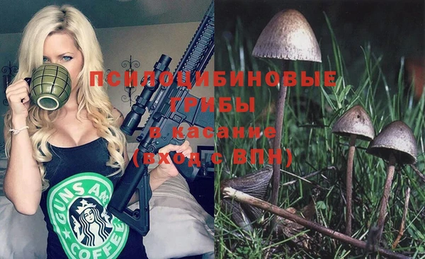 ECSTASY Зеленодольск