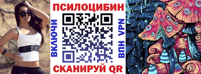 Галлюциногенные грибы Cubensis  Купить закладки  Пудож 